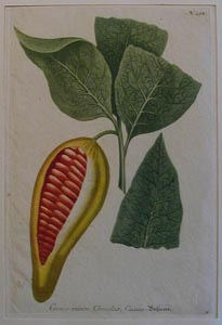 P9170068