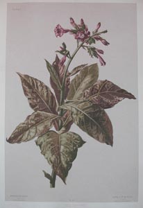 P8210038